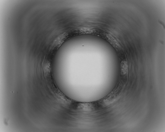 X0000091170713200708161459