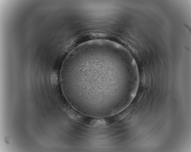 X0000091170715200708161459