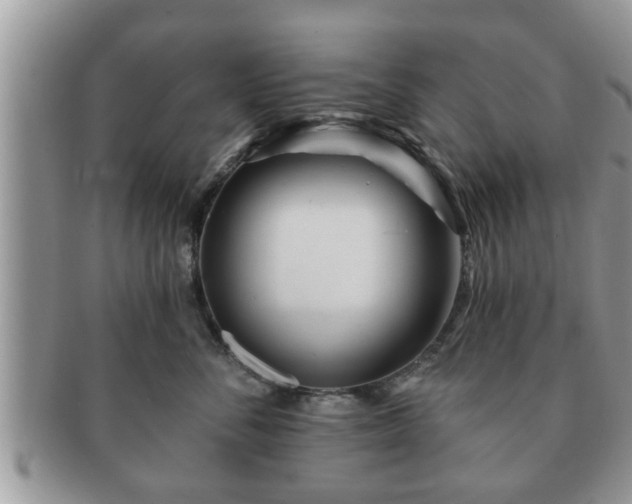 X0000091170716200708161459