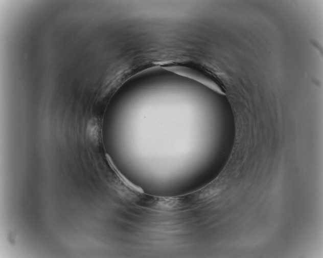 X0000091170720200708161459