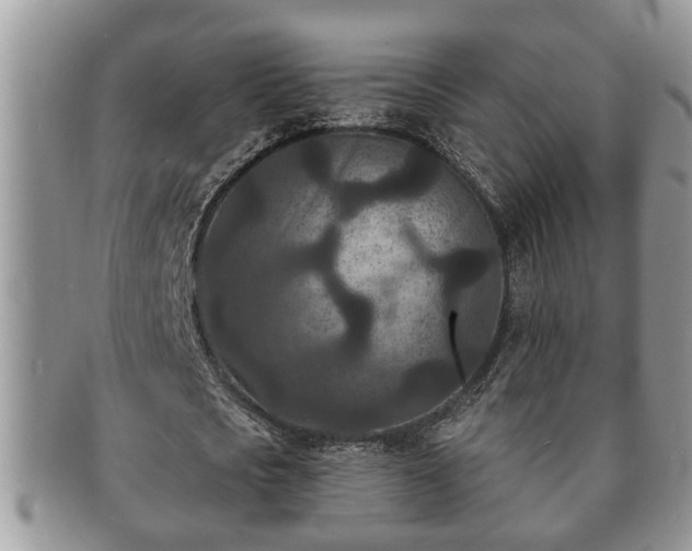 X0000091170721200708161458