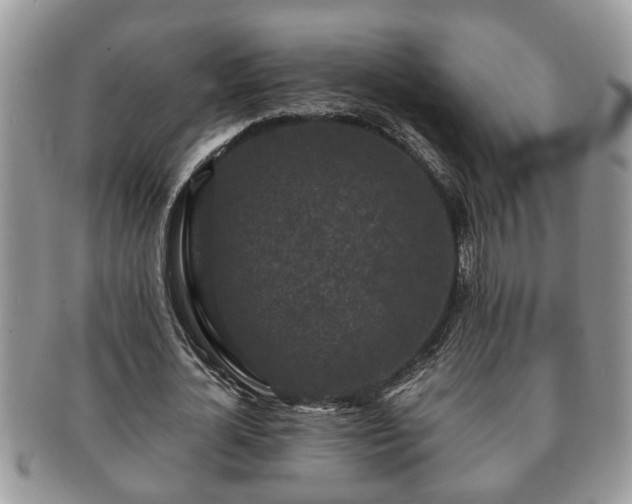 X0000091170724200708161458