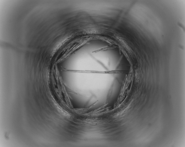X0000091170725200708161458