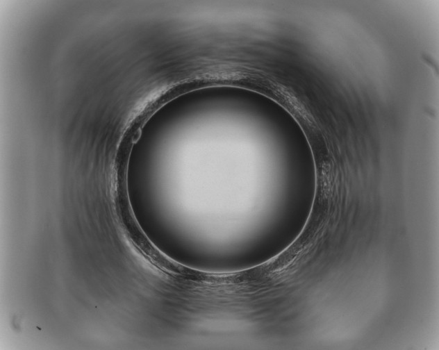 X0000091170726200708161458