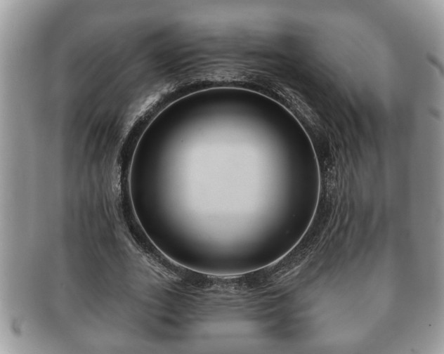 X0000091170727200708161458