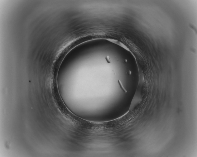 X0000091170728200708161458