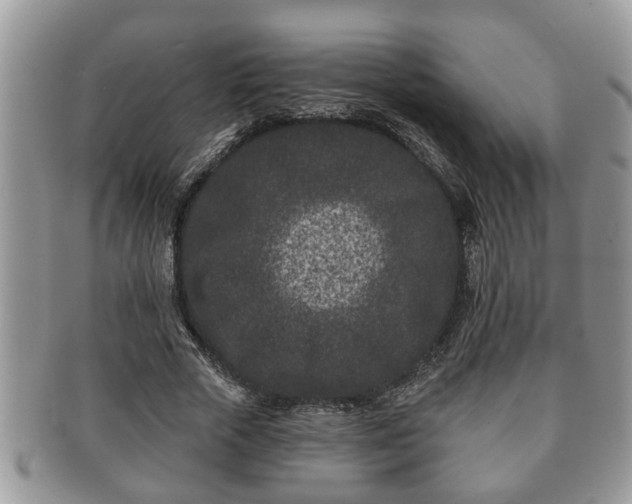 X0000091170729200708161458