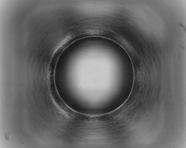 X0000091170730200708161458