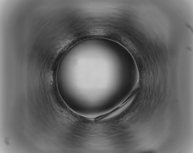 X0000091170731200708161458