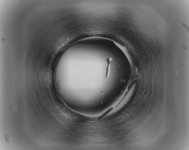 X0000091170732200708161458