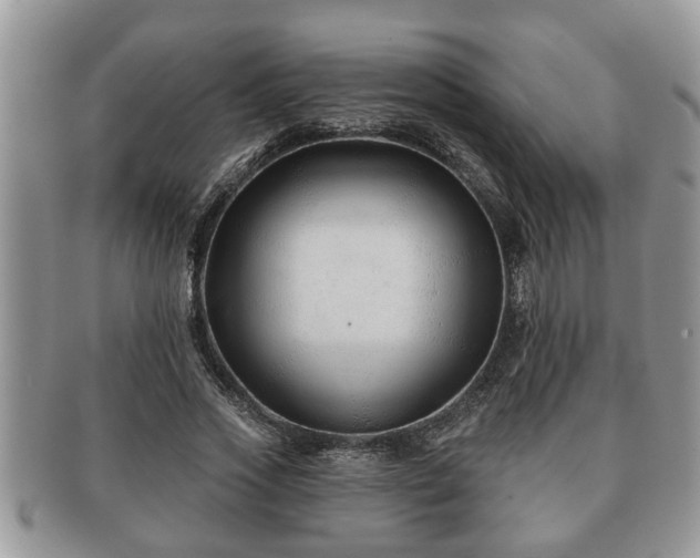 X0000091170733200708161458