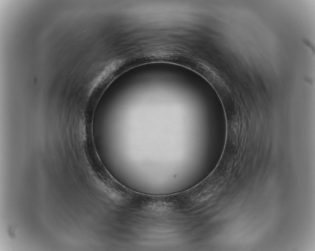 X0000091170734200708161458