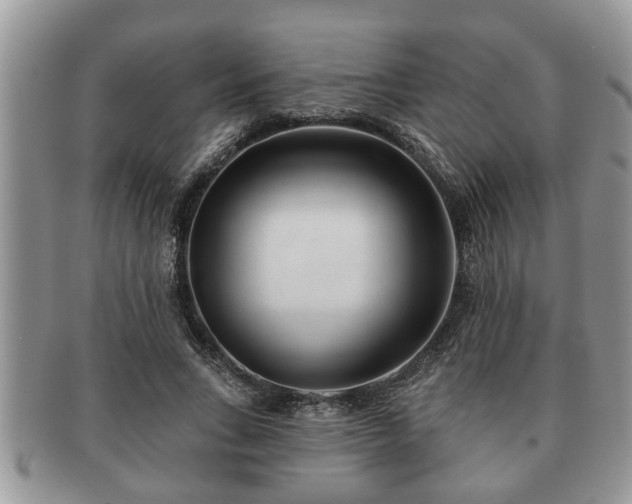 X0000091170735200708161458