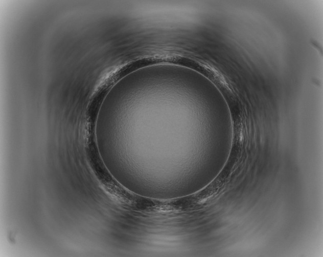 X0000091170736200708161458