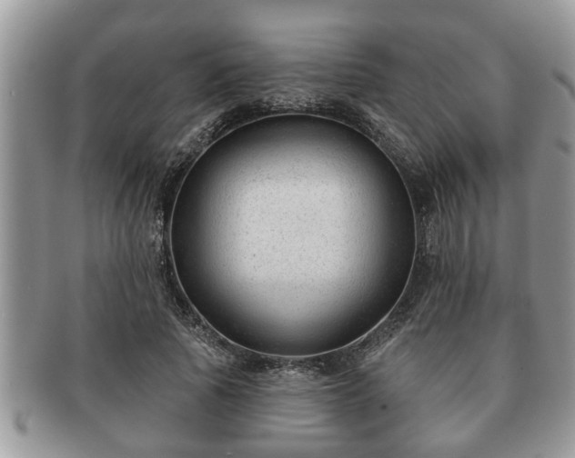 X0000091170737200708161458