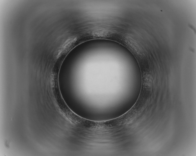 X0000091170738200708161458