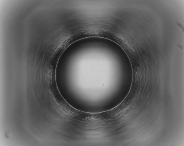 X0000091170739200708161458