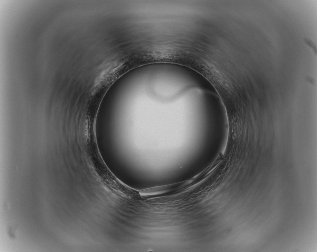 X0000091170740200708161458