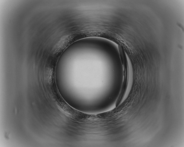 X0000091170742200708161458