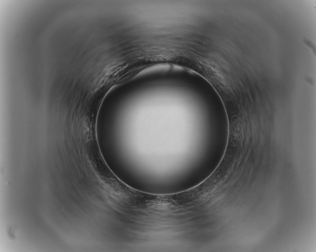 X0000091170743200708161458