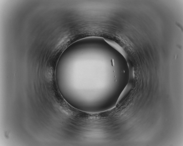 X0000091170744200708161458