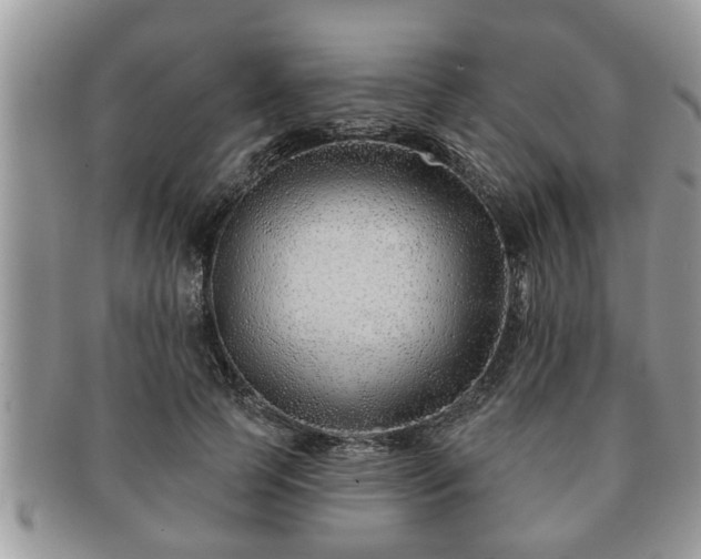 X0000091170745200708161458