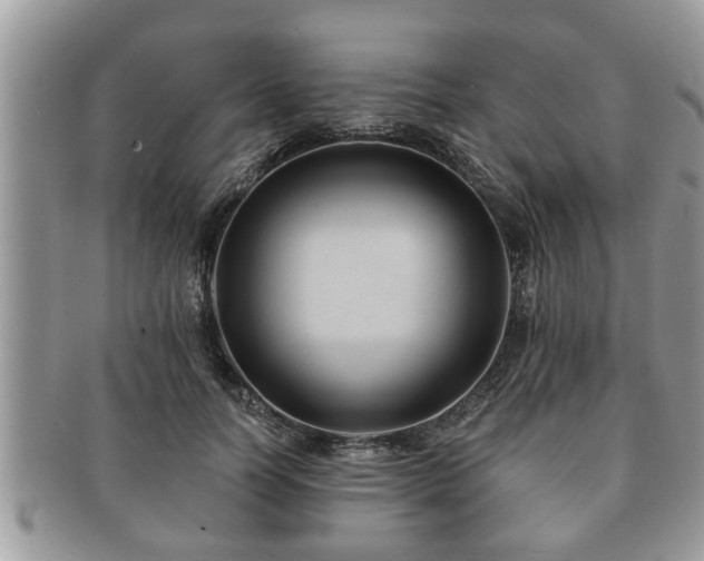 X0000091170746200708161458