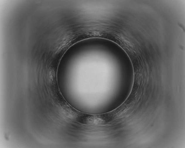 X0000091170747200708161458