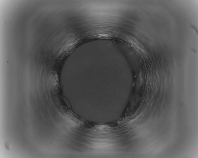 X0000091170748200708161458