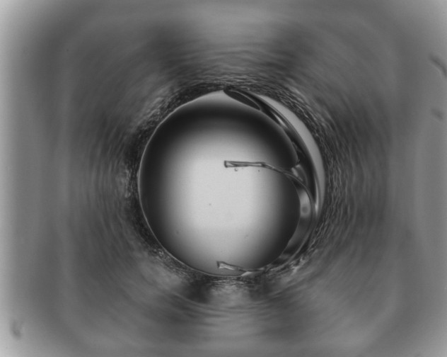 X0000091170750200708161458