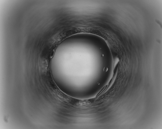 X0000091170752200708161458