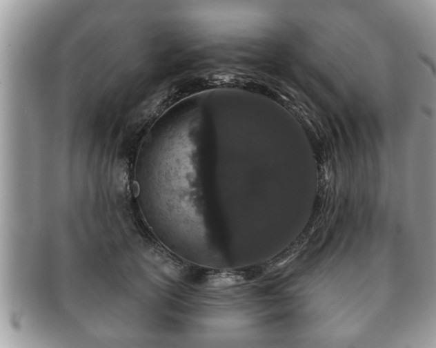 X0000091170754200708161458