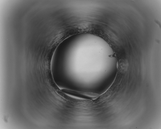 X0000091170756200708161458