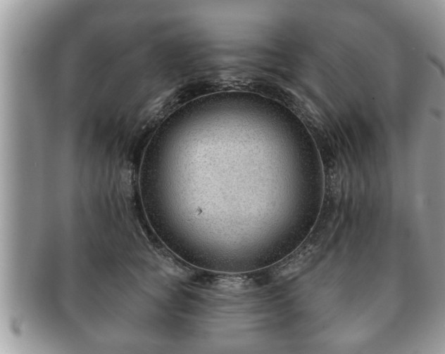 X0000091170757200708161458