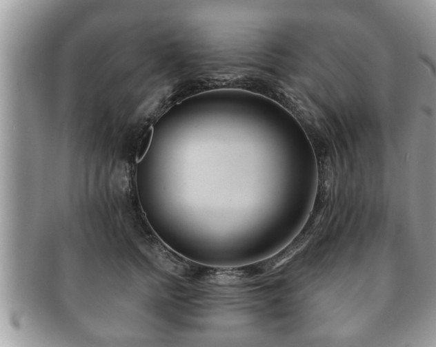 X0000091170758200708161458