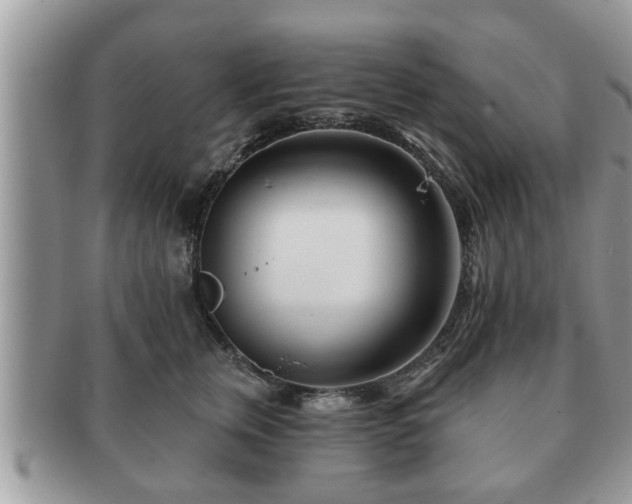 X0000091170759200708161458