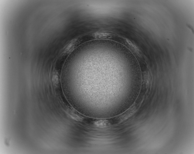 X0000091170761200708161458