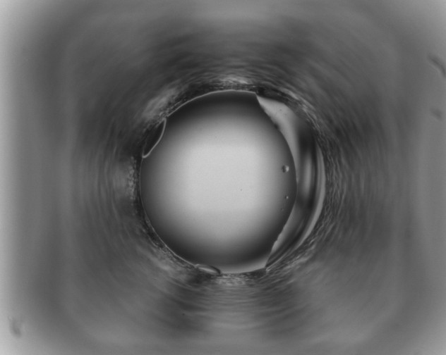 X0000091170762200708161458