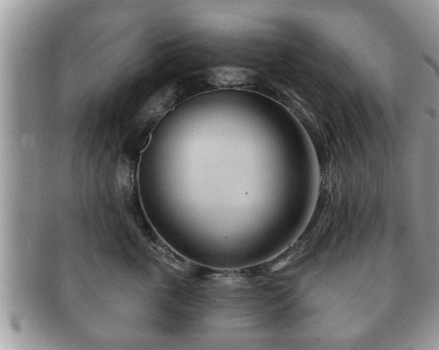 X0000091170763200708161459