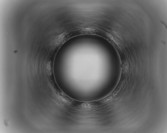 X0000091170764200708161459