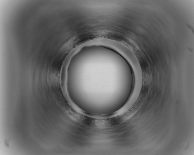 X0000091170766200708161459