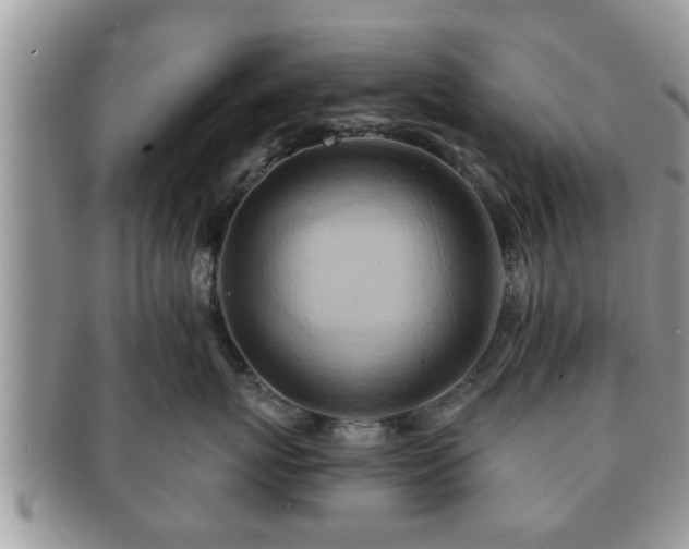 X0000091170767200708161459