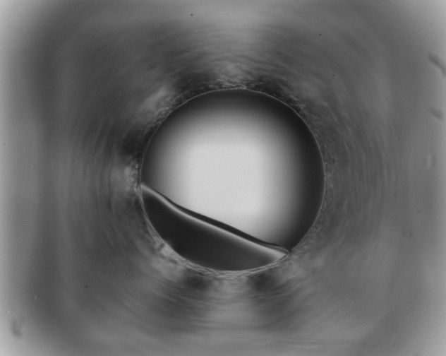 X0000091170768200708161459