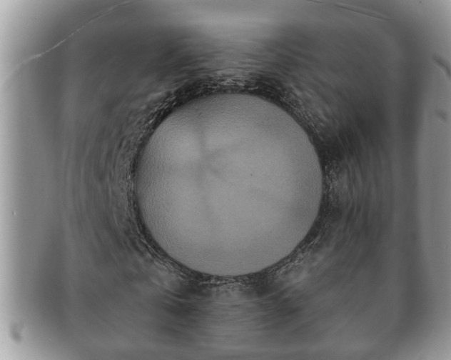 X0000091170769200708161458