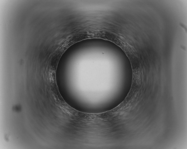 X0000091170770200708161458