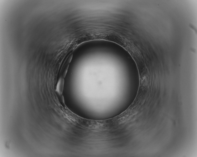 X0000091170772200708161458