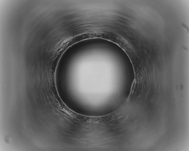 X0000091170773200708161458