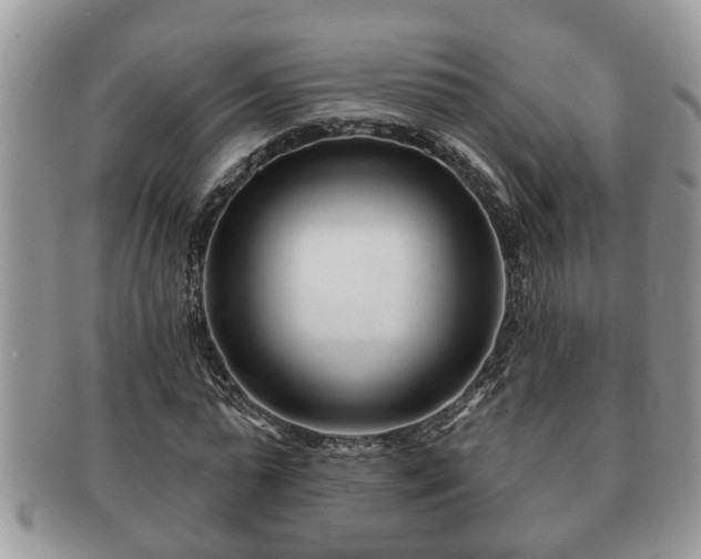 X0000091170775200708161458