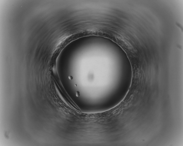 X0000091170776200708161458