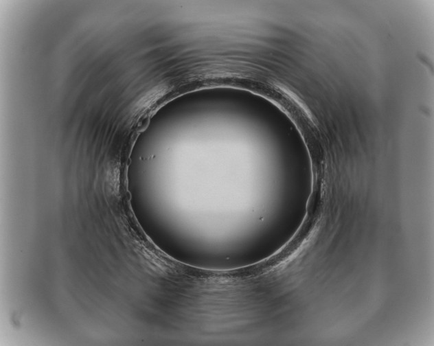 X0000091170777200708161458